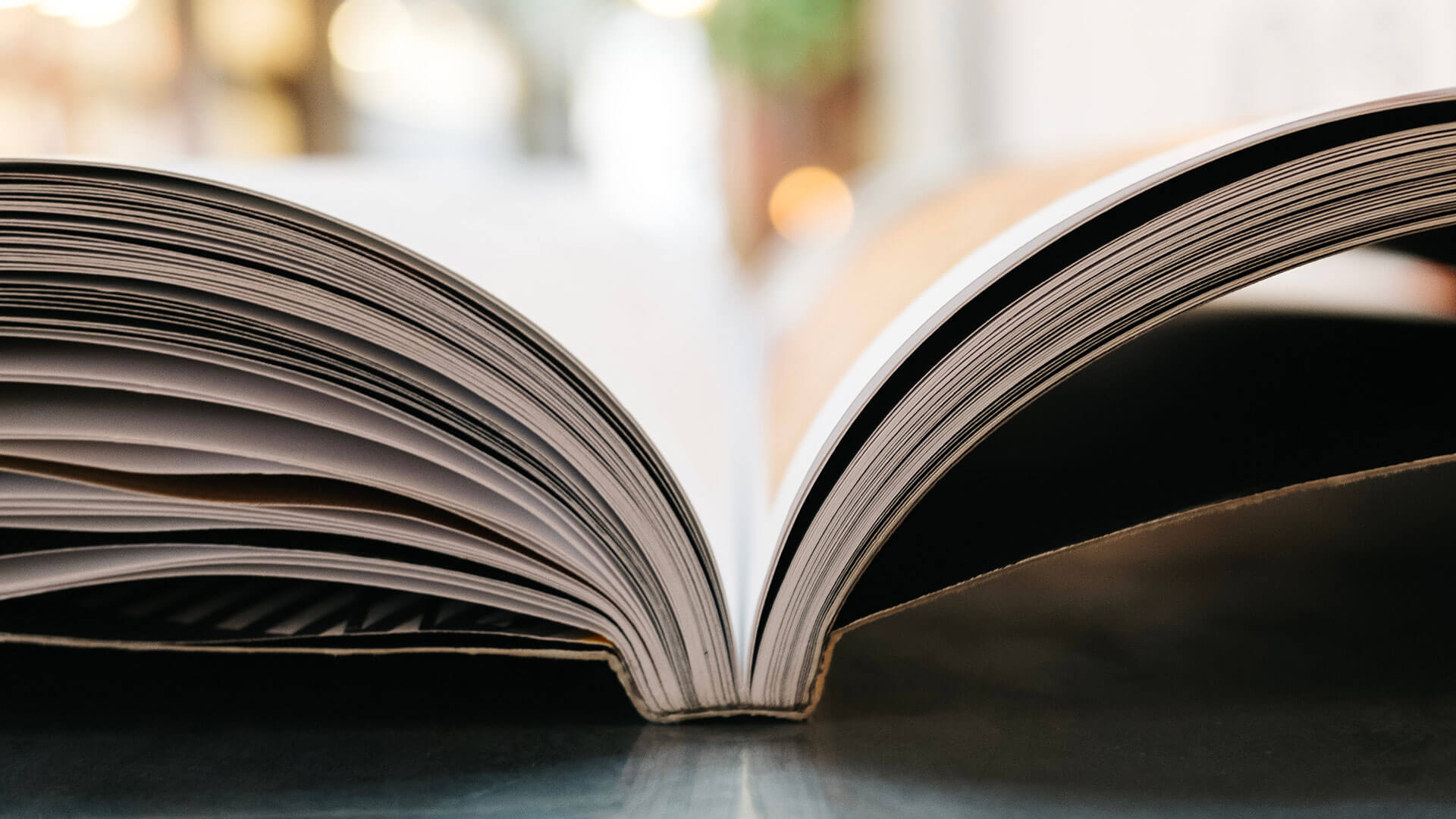 an image which goes with the story Big Picture Understanding